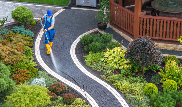 Best Power Washing Near Me  in Tornillo, TX