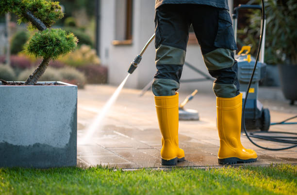 Best Affordable Power Washing  in Tornillo, TX